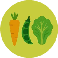 Imagens representativas de cenoura, courgete e couve