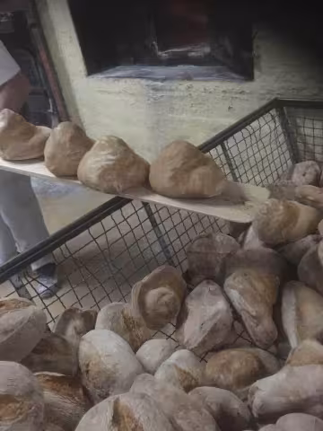 Pão cabeça não editar