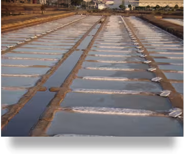 Sal Tavira DOP DGADR